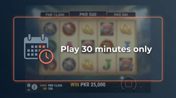 Payment and PKR controls in hahapkr - 6